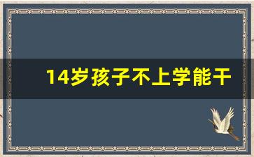 14岁孩子不上学能干啥_14岁孩子不想上学有什么出路