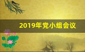 2019年党小组会议记录范文