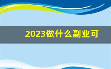 2023做什么副业可以挣点钱_有什么可以赚钱的副业