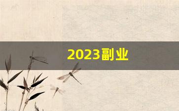 2023副业