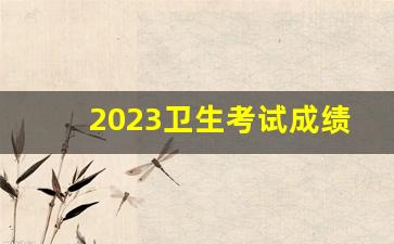 2023卫生考试成绩查询_2023卫生资格考试新疆线