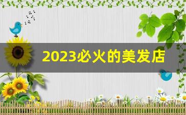 2023必火的美发店名字_2023年理发店简单名字