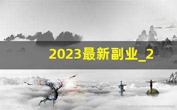 2023最新副业_2023做什么兼职可以挣点钱