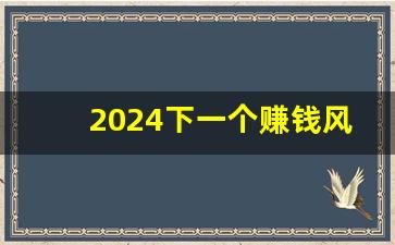 2024下一个赚钱风口_2024创业新项目新商机