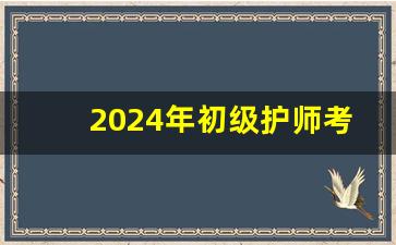 2024年初级护师考试