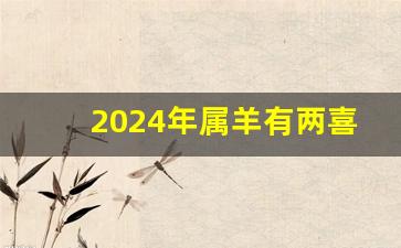 2024年属羊有两喜缠身_属羊人一生最旺3个人