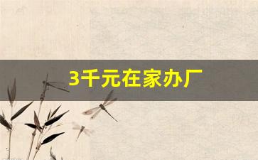 3千元在家办厂
