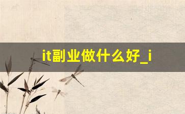 it副业做什么好_it行业里干什么最赚钱