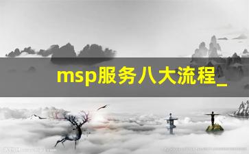 msp服务八大流程_服务顾问流程
