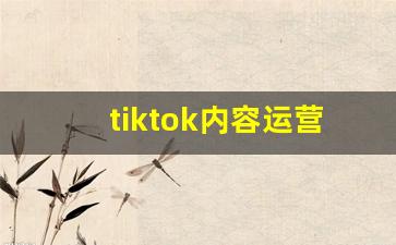 tiktok内容运营