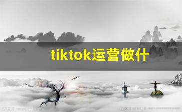 tiktok运营做什么的_tiktok国内用不了
