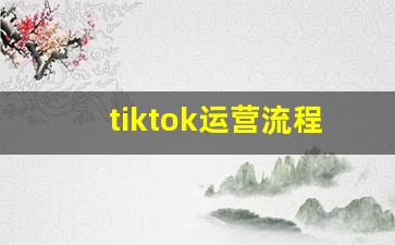tiktok运营流程_海外tiktok运营