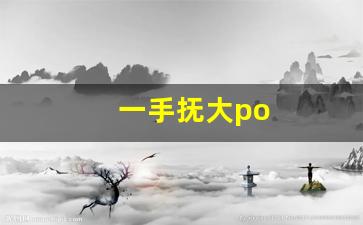 一手抚大po