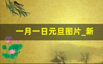 一月一日元旦图片_新年快乐图片一年级