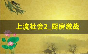 上流社会2_厨房激战之战斗2