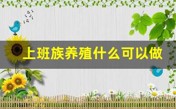 上班族养殖什么可以做副业