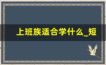 上班族适合学什么_短期培训学什么技能好