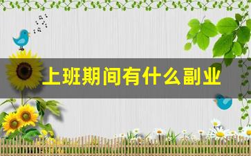 上班期间有什么副业