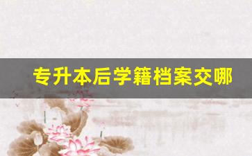 专升本后学籍档案交哪个部门_专升本毕业后的档案怎么处理