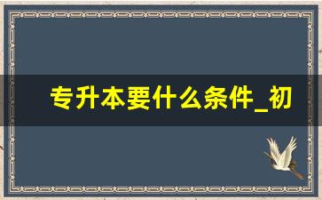 专升本要什么条件_初中学历怎么提升学历啊