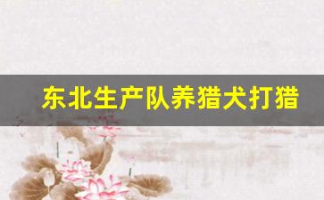 东北生产队养猎犬打猎的故事_猎犬打猎小说大全
