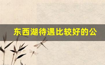 东西湖待遇比较好的公司