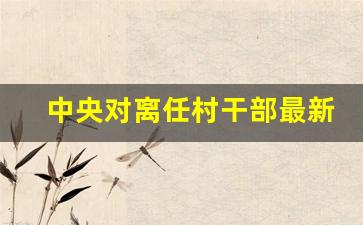 中央对离任村干部最新政策_2024年村干部将正式入编