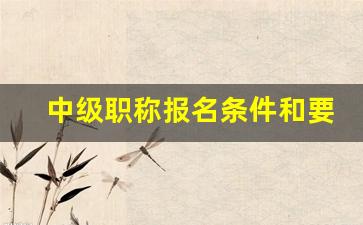 中级职称报名条件和要求_会计师证怎么考有什么条件
