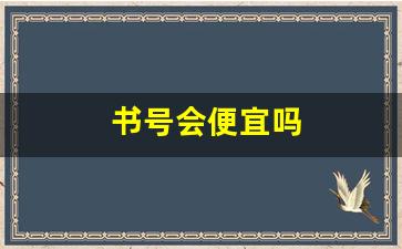 书号会便宜吗