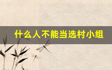 什么人不能当选村小组长_村民小组长会纳入编制吗