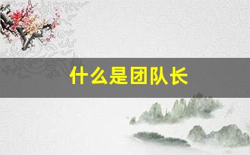什么是团队长