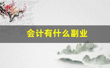 会计有什么副业
