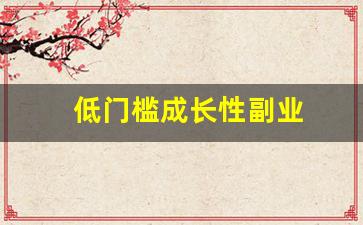 低门槛成长性副业
