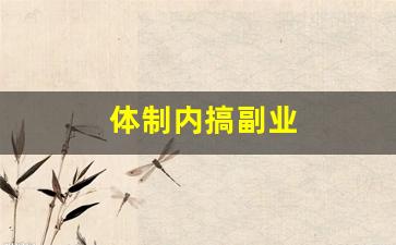 体制内搞副业