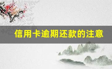 信用卡逾期还款的注意事项