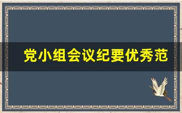党小组会议纪要优秀范文_党小组个人发言记录