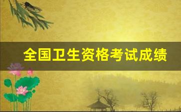 全国卫生资格考试成绩查询入口_青海卫生人才网副高职称成绩查询