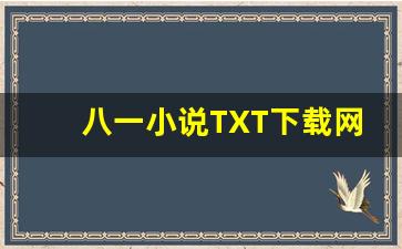 八一小说TXT下载网站