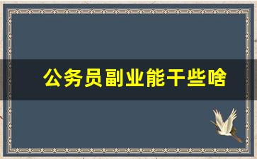 公务员副业能干些啥
