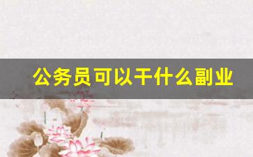 公务员可以干什么副业