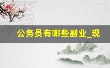 公务员有哪些副业_现在公务员能做什么副业