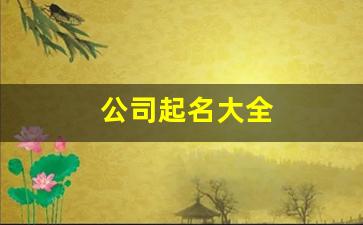 公司起名大全