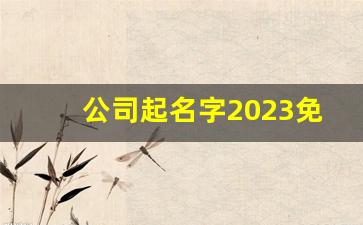 公司起名字2023免费八字起名周易_注册公司名字怎么取名