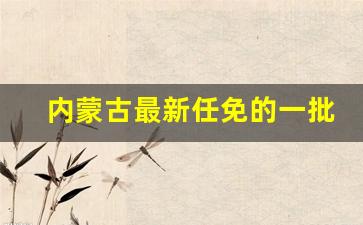 内蒙古最新任免的一批干部_内蒙古自治区政府任免