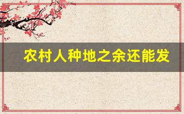 农村人种地之余还能发展的五项副业_农村第一书记的五项基本职责
