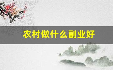农村做什么副业好