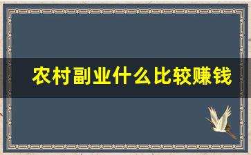 农村副业什么比较赚钱