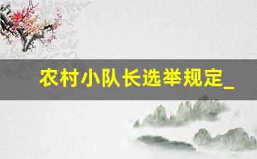 农村小队长选举规定_居民小组长的选举程序