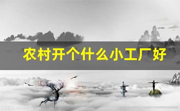 农村开个什么小工厂好_最有前景的小型加工厂