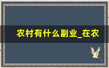 农村有什么副业_在农村有什么副业可以做